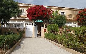 Estrella de Mar